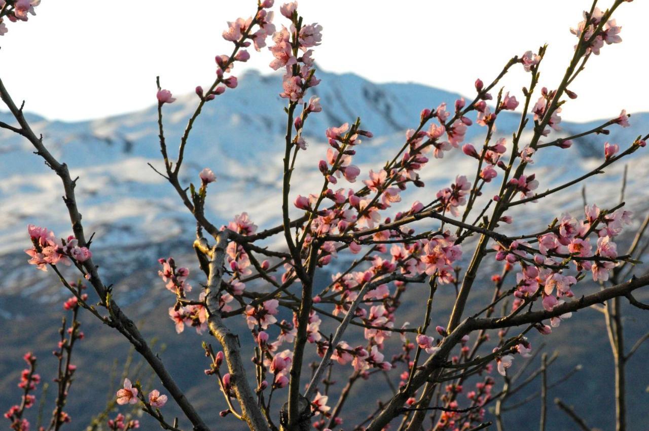 Hawkridge Alpine Suite Distretto di Distretto di Queenstown Esterno foto
